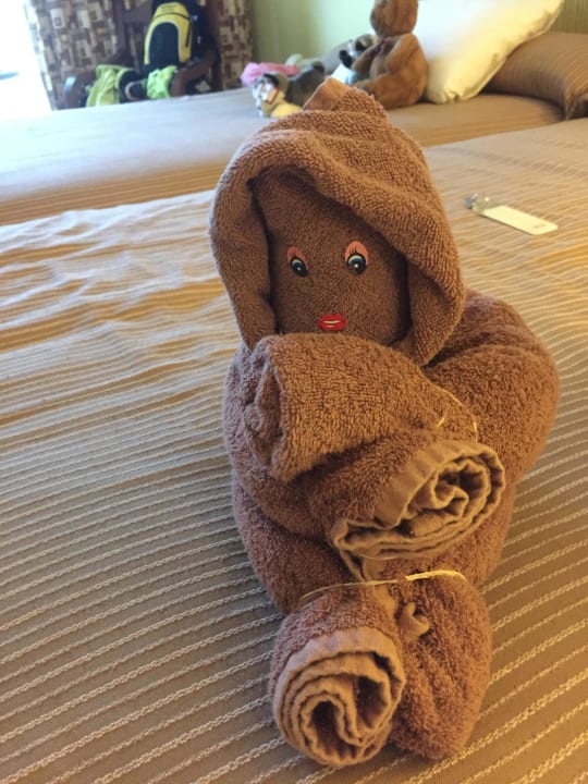 Deko Hotel Riu Tequila