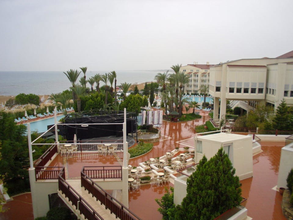 Sentido PALOMA Perissia