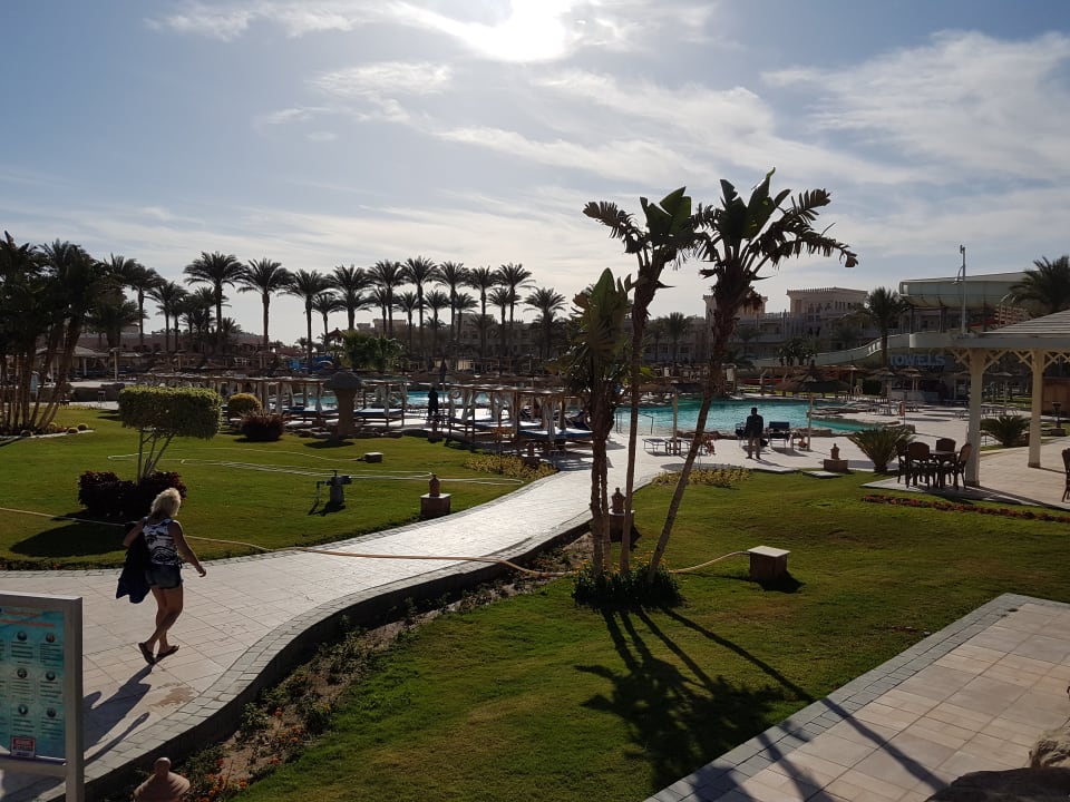 Pool Beach Albatros Resort