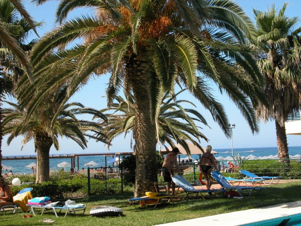 Przy basenie Calimera Sirens Beach