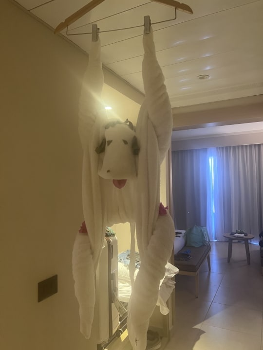 Zimmer JAZ Elite Amara