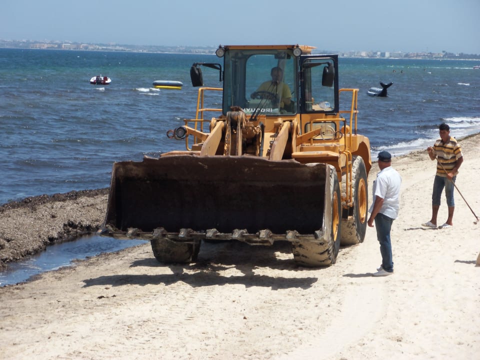 Algenplage 11. Tag Alassio Hotel and Thalasso