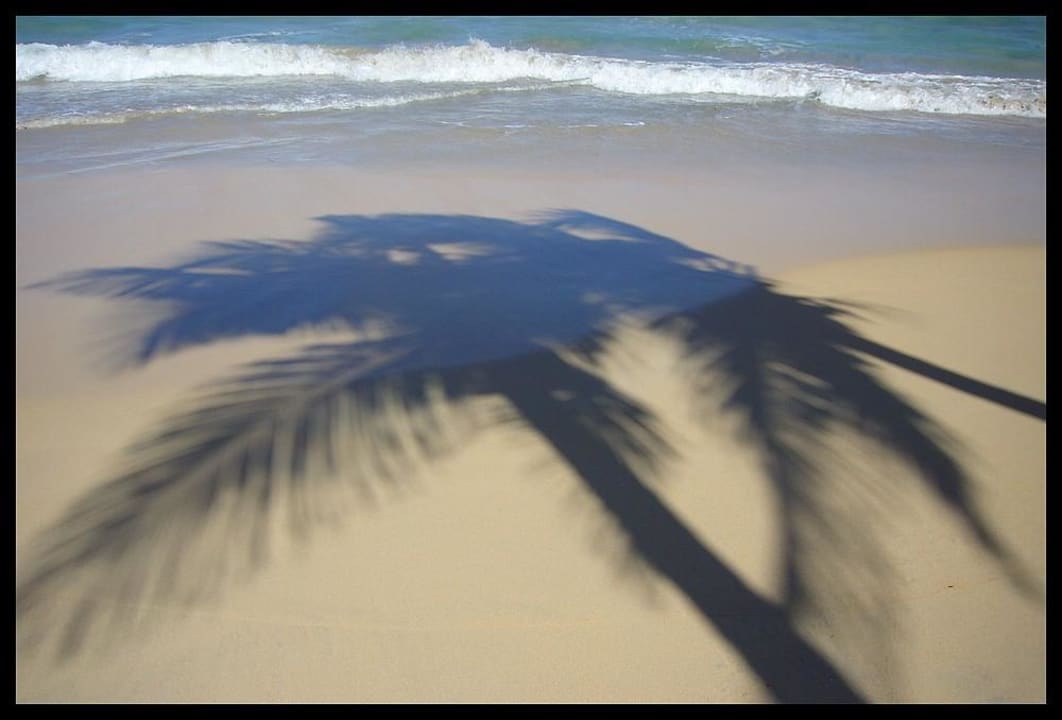 Schattenspiel Grand Sirenis Punta Cana Resort & Aquagames