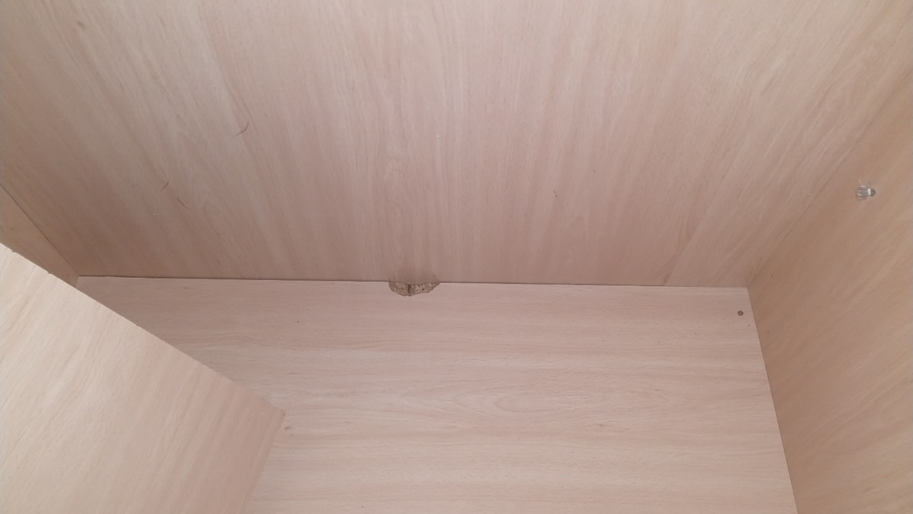 Zimmer Alcudia Garden Aparthotel