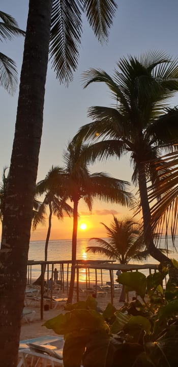 Ausblick Akumal Bay Beach & Wellness Resort