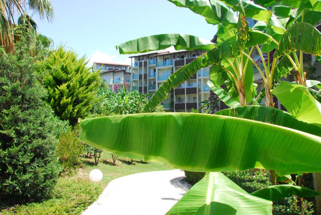 Aska Hotel Buket Resort & Spa ex Hotel Aska Club N Resort &  Sealife Buket Resort & Beach