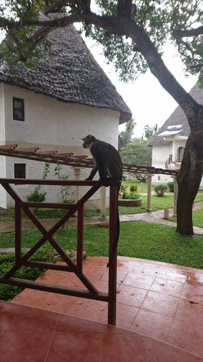 Außenansicht Neptune Village Beach Resort & Spa