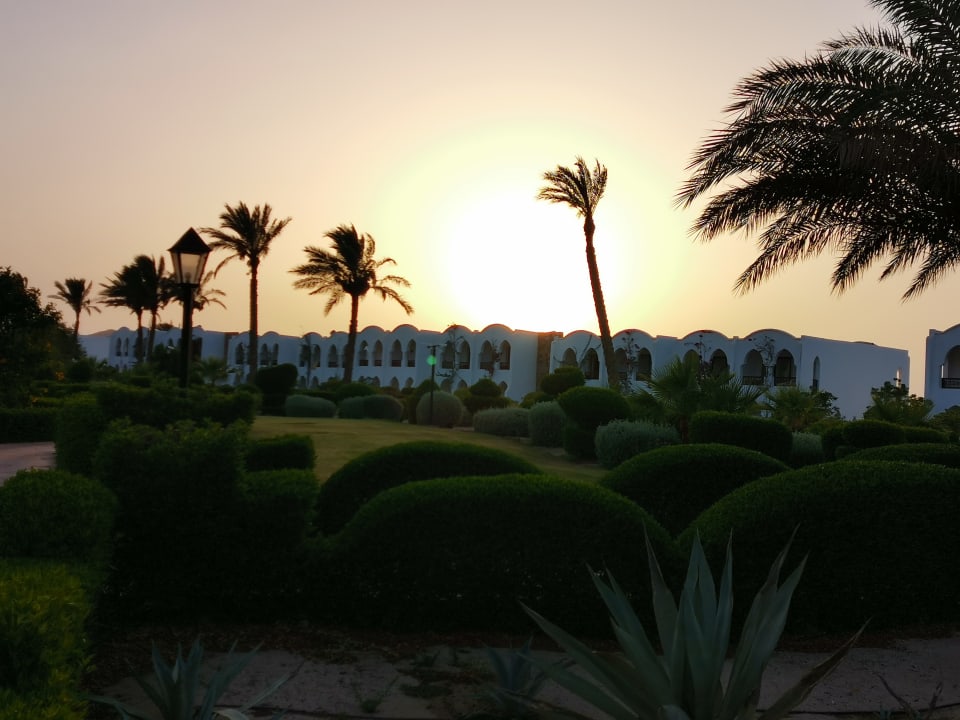 Außenansicht Hotel Gorgonia Beach Resort