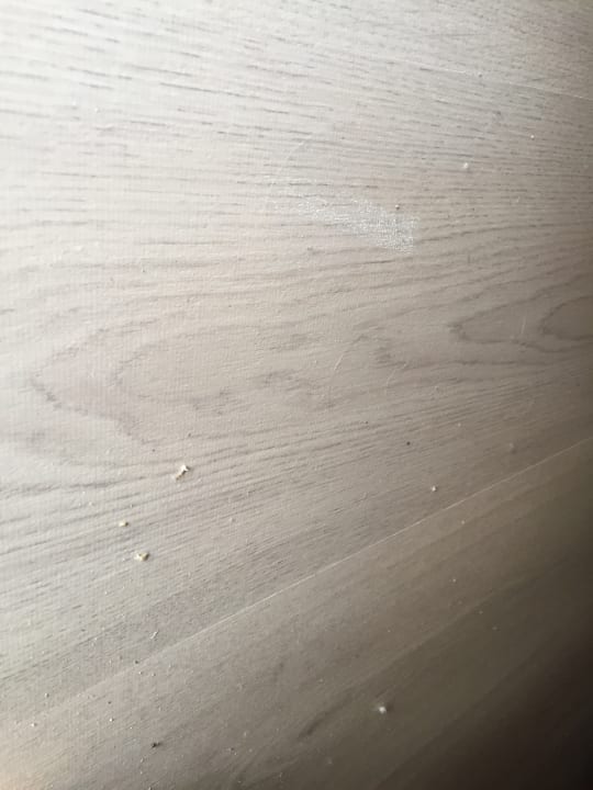 Zimmer Alcudia Garden Aparthotel