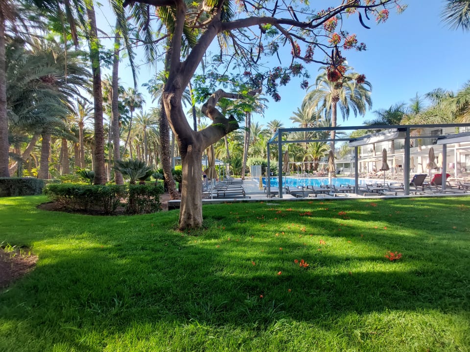 Pool Hotel Riu Palace Oasis