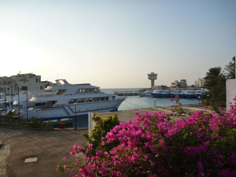 Blick in den hoteleigenen Hafen. Arabella Azur Resort