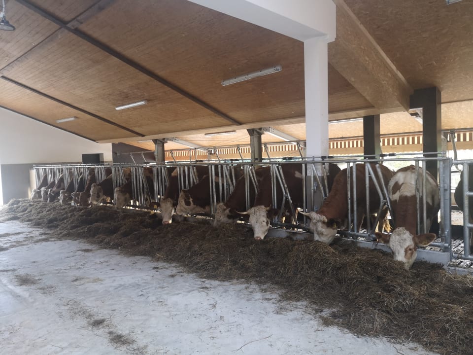 Sport & Freizeit Erlebnisbauernhof Achatz