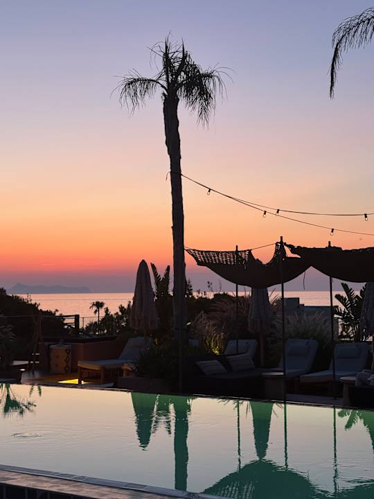 Ausblick The Syntopia