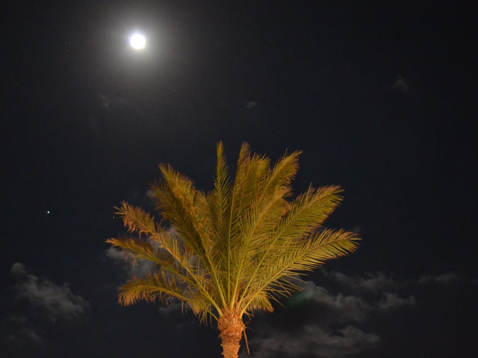 Vollmond Shams Alam Beach Resort