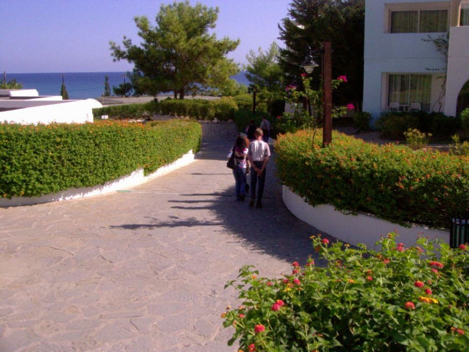 Grüner Hotelbereich alltoura Club Hotel Porto Angeli Beach Resort