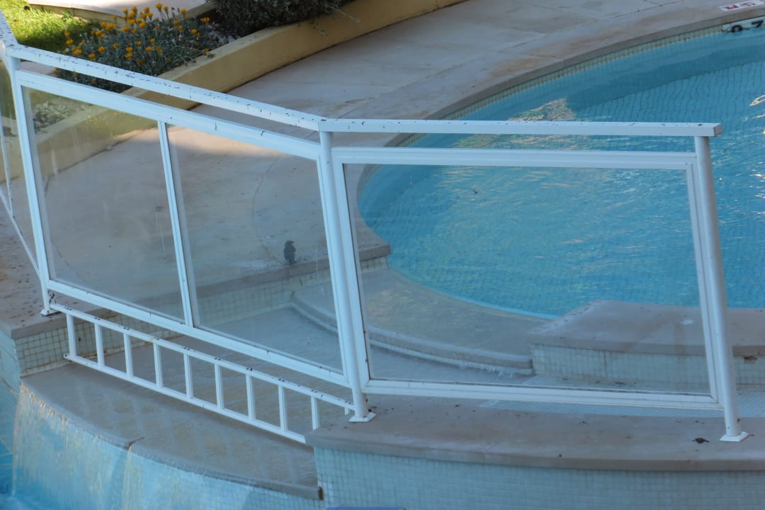 Pool AP Oriental Beach - Adults Friendly