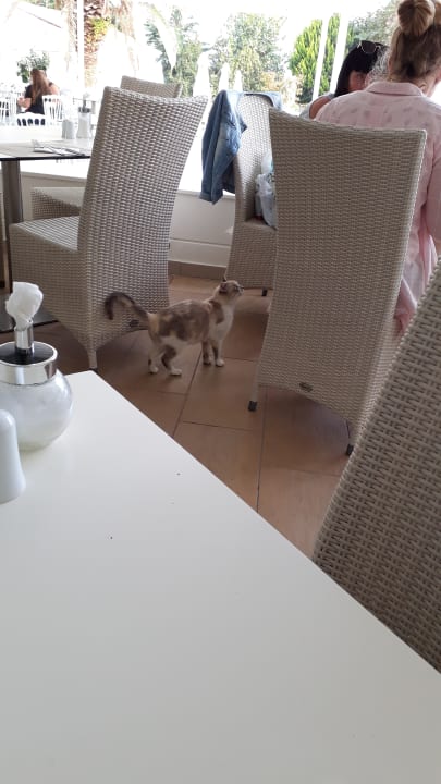 Gastro Olympian Bay Grand Resort