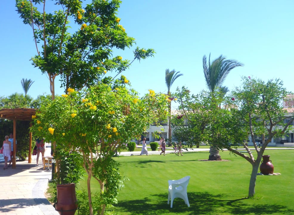 Alles superschön gepflegt Pickalbatros Dana Beach Resort - Hurghada