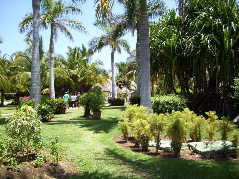 Gartenanlage Melia Las Antillas - Adults only