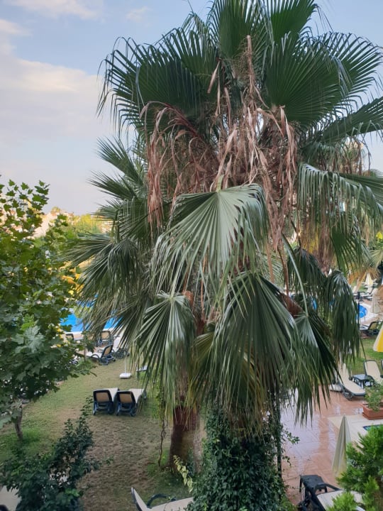 Ausblick Hotel Gardenia Beach