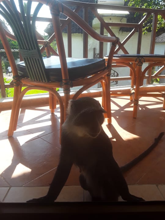 Sonstiges Neptune Village Beach Resort & Spa