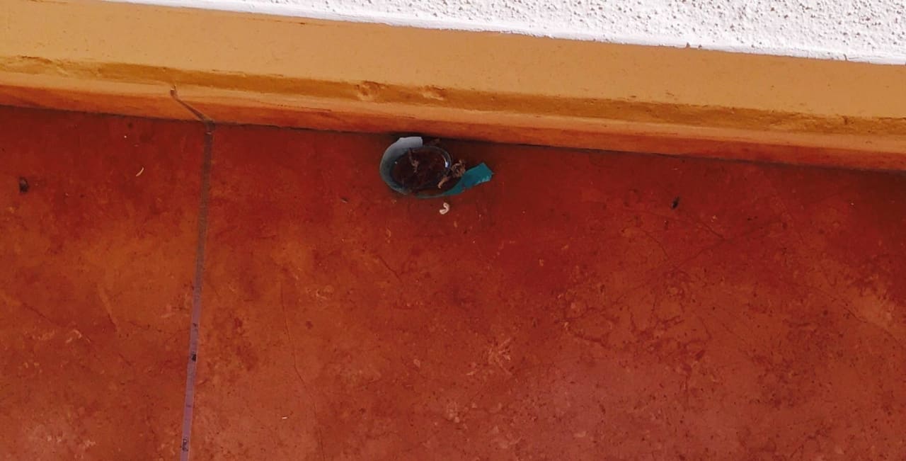 Przez tydzień nie zniknęła z korytarza  Elba Carlota Beach & Golf Resort