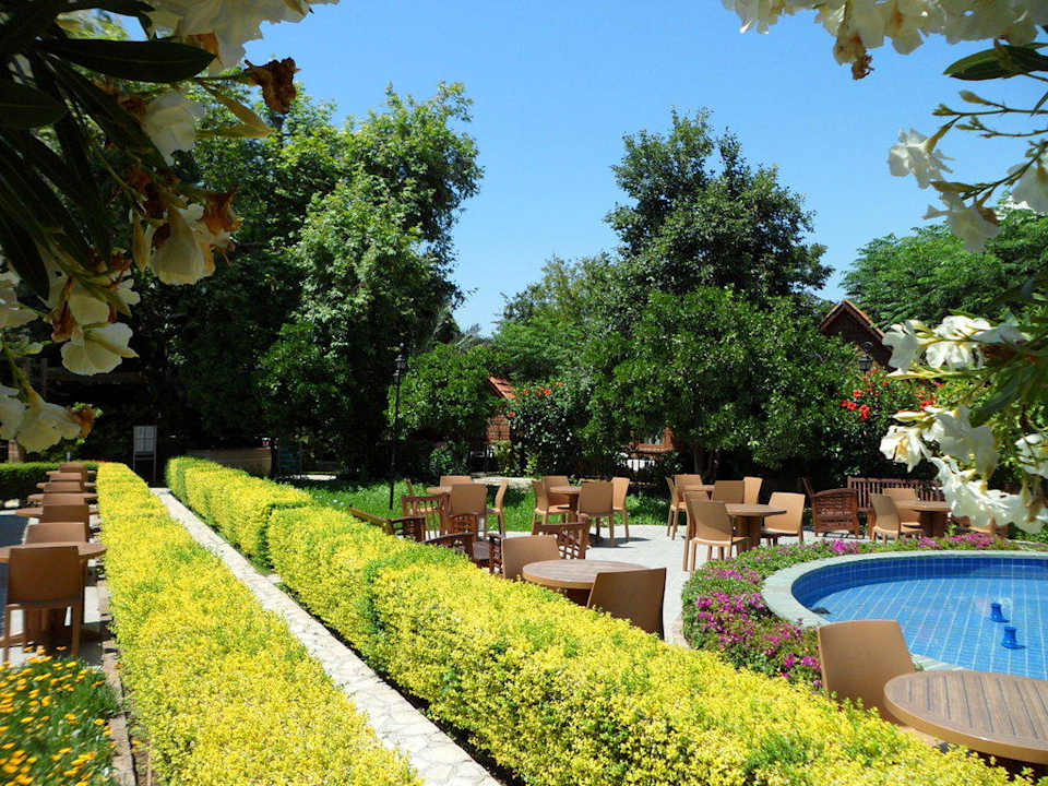 Außenbereich der Cleopatra Bar Can Garden Beach