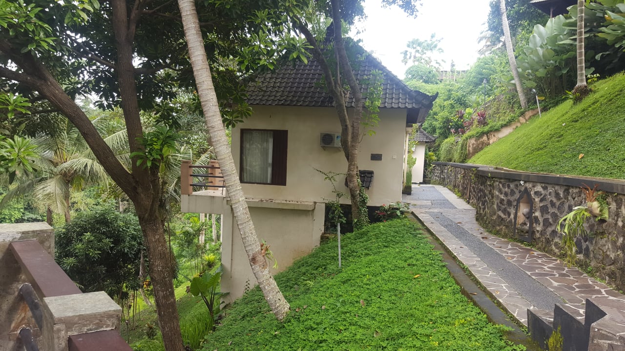 Zimmer Hotel Beji Ubud Resort