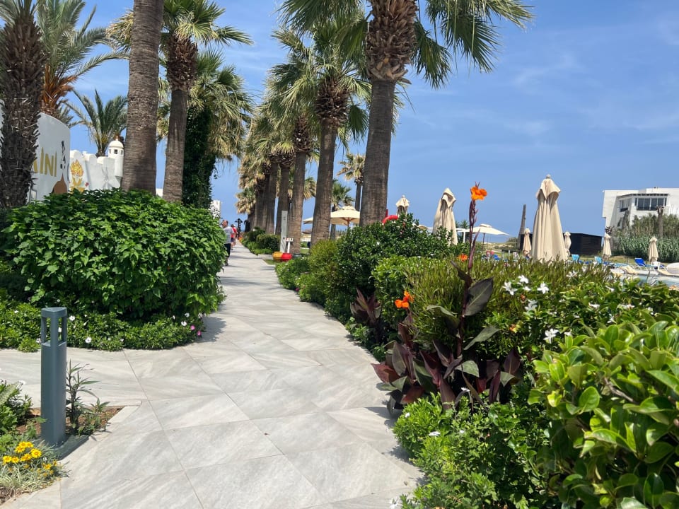 Gartenanlage Hotel Marhaba Palace