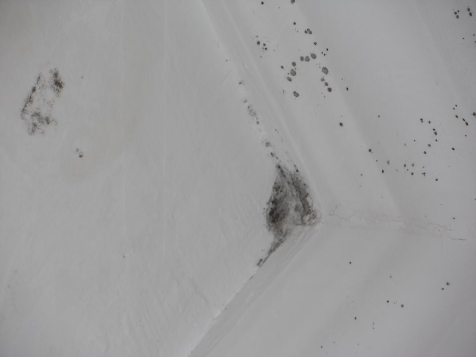 Leider Schimmel im Bad Atlantic Mirage Suites & Spa - Adults only