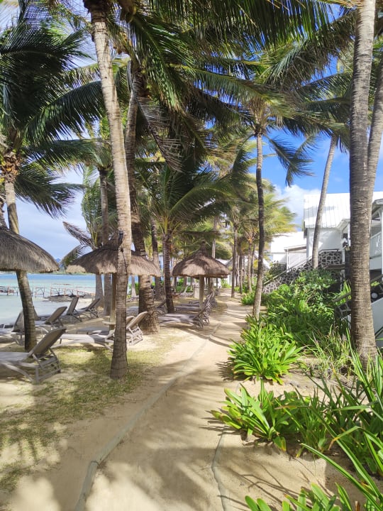 Ausblick Tropical Attitude - Adults only