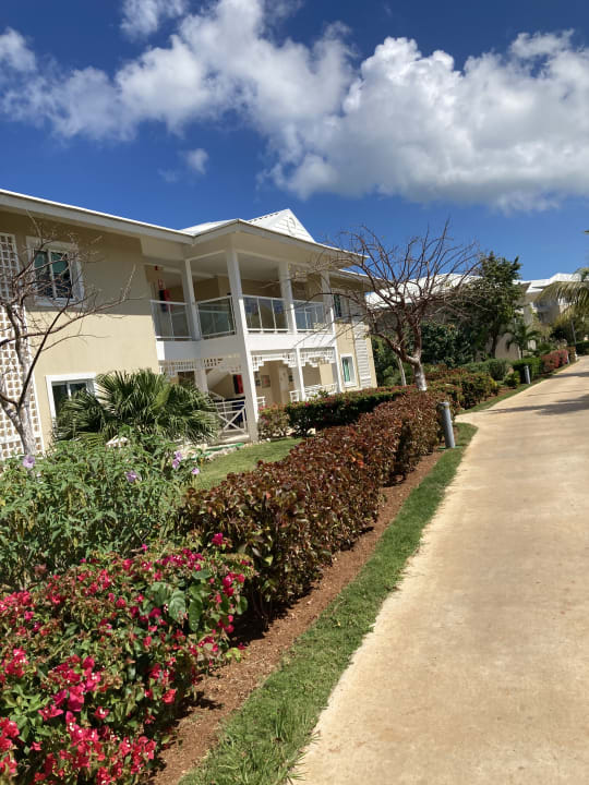 Gartenanlage Angsana Cayo Santa Maria