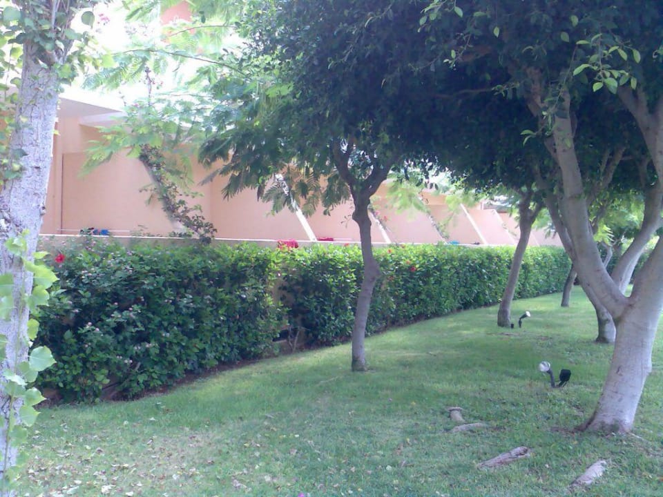 Zimmer  mit großer Terrasse Anissa Beach & Village