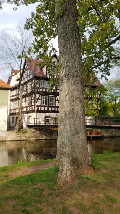 Ausblick Pension Domblick