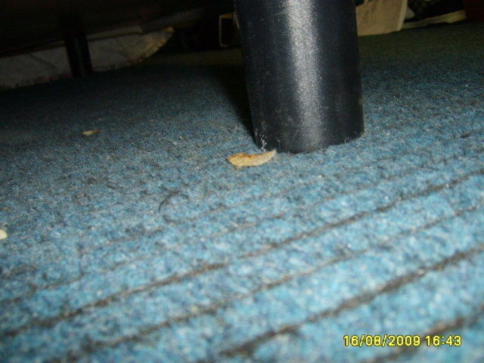 Alte Chips unterm Bett mit Schimmel Hotel Marco Polo