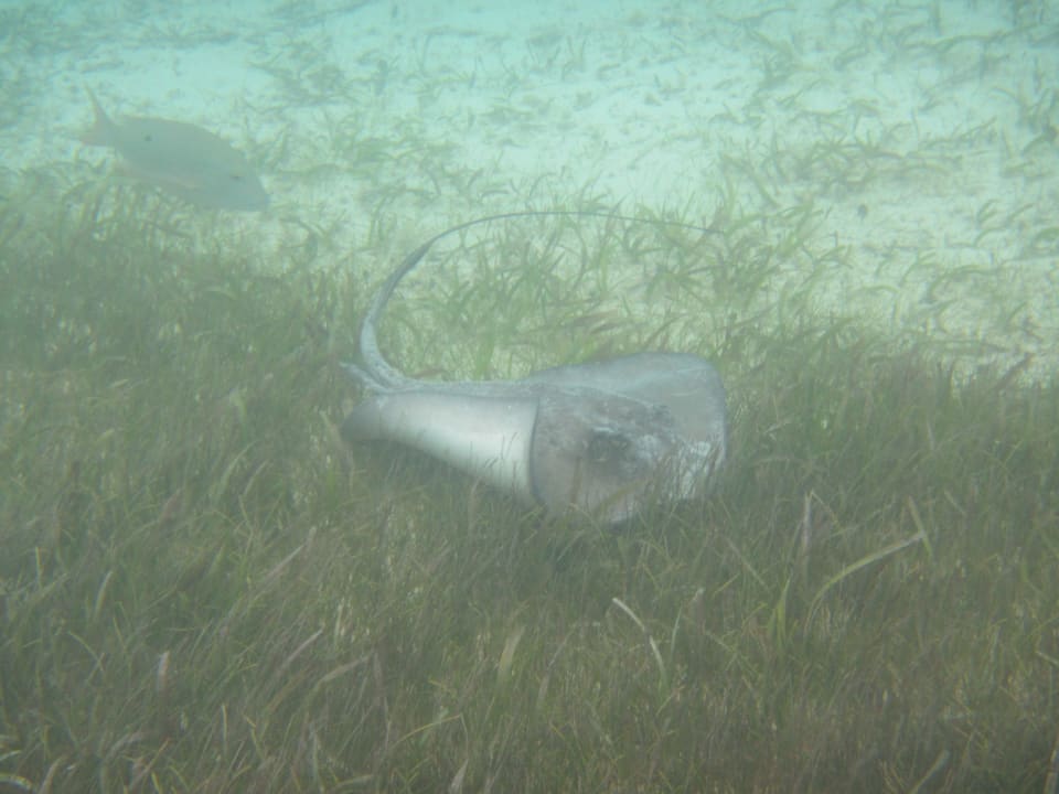 Sport & Freizeit Akumal Bay Beach & Wellness Resort