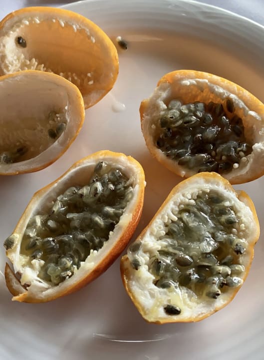 Gastro Akumal Bay Beach & Wellness Resort