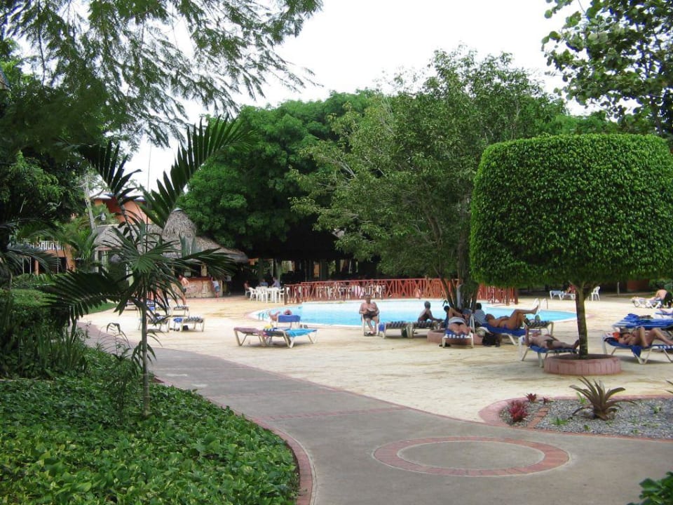 Pool mit Poolbar BelleVue Dominican Bay