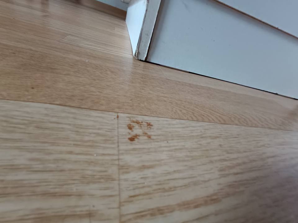 Sonstiges Ferienanlage Haus am Bergwald