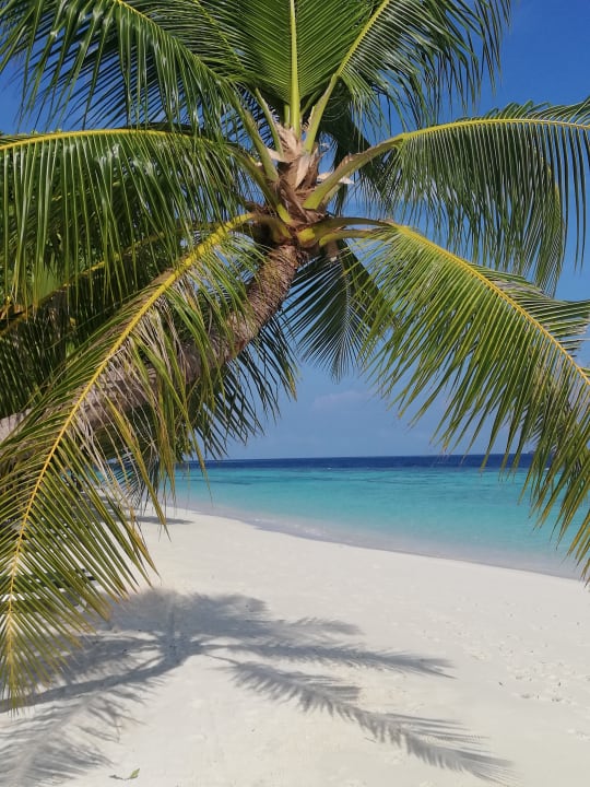 Strand Vilamendhoo Island Resort & Spa