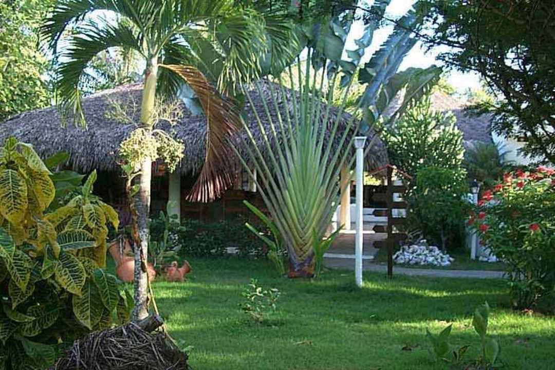 Bar Casa Phönix Annex Isla Verde