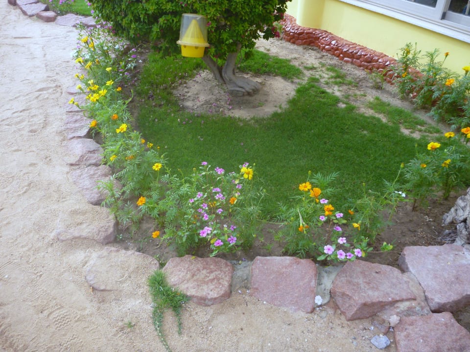 Alles blüht SUNRISE Holidays Resort (Adults Only)