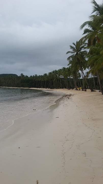 Ansprechend Wyndham Alltra Samana
