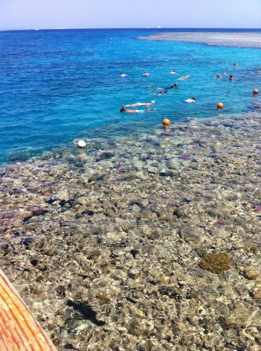 Hausriff Stella Beach Resort & Spa Makadi Bay