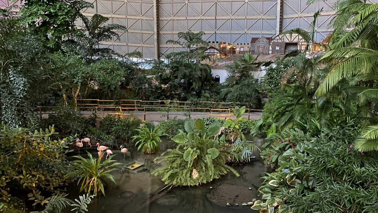 Gartenanlage Tropical Islands Resort