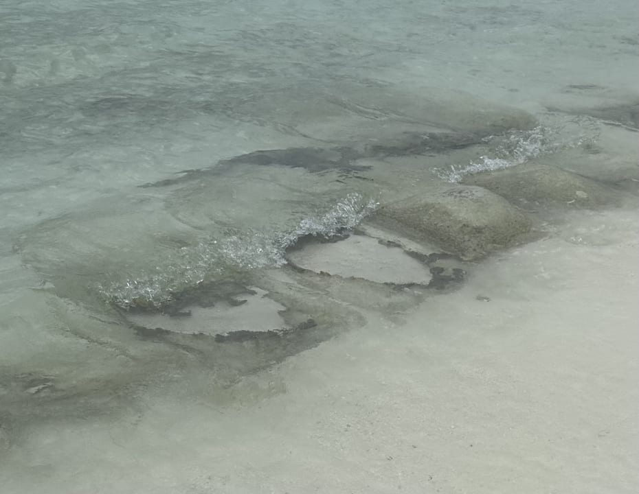 Strand Summer Island Maldives