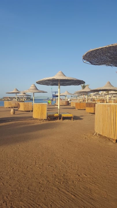 Großer Strand Desert Rose