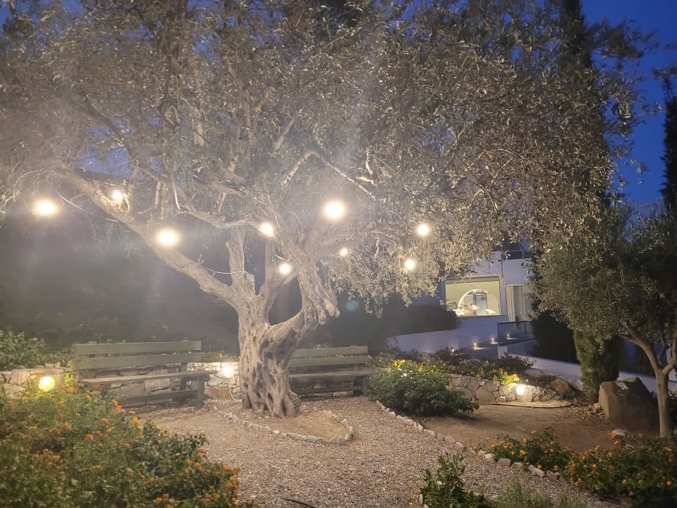 Gartenanlage alltoura Club Hotel Porto Angeli Beach Resort