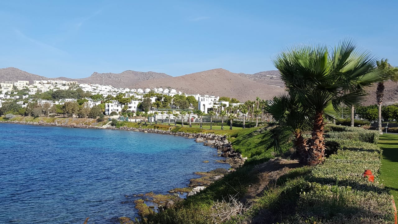 Details Xanadu Island Hotel