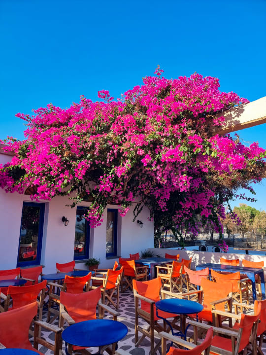 Gastro Ekaterini Hotel